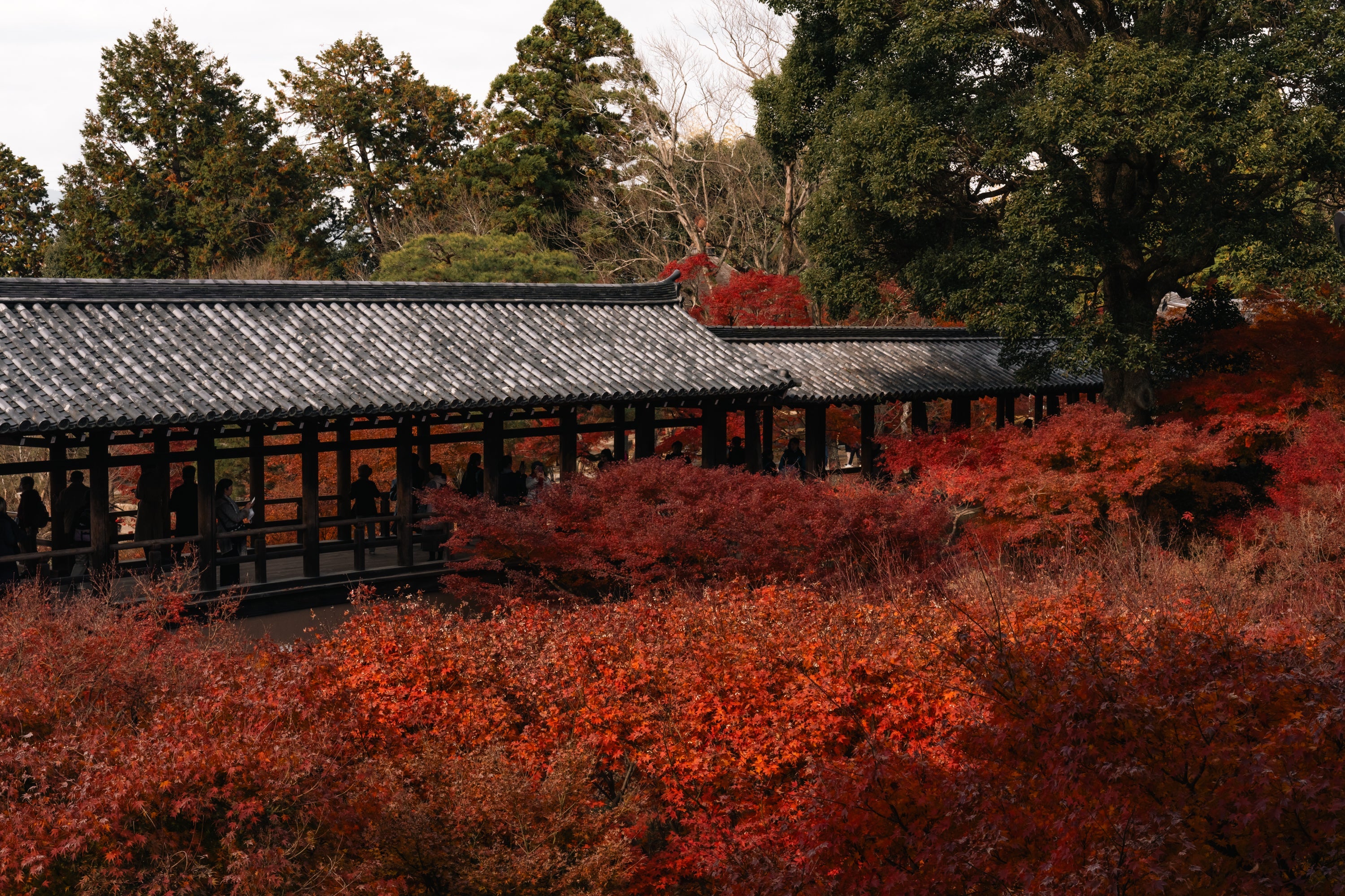 Fall Favorites