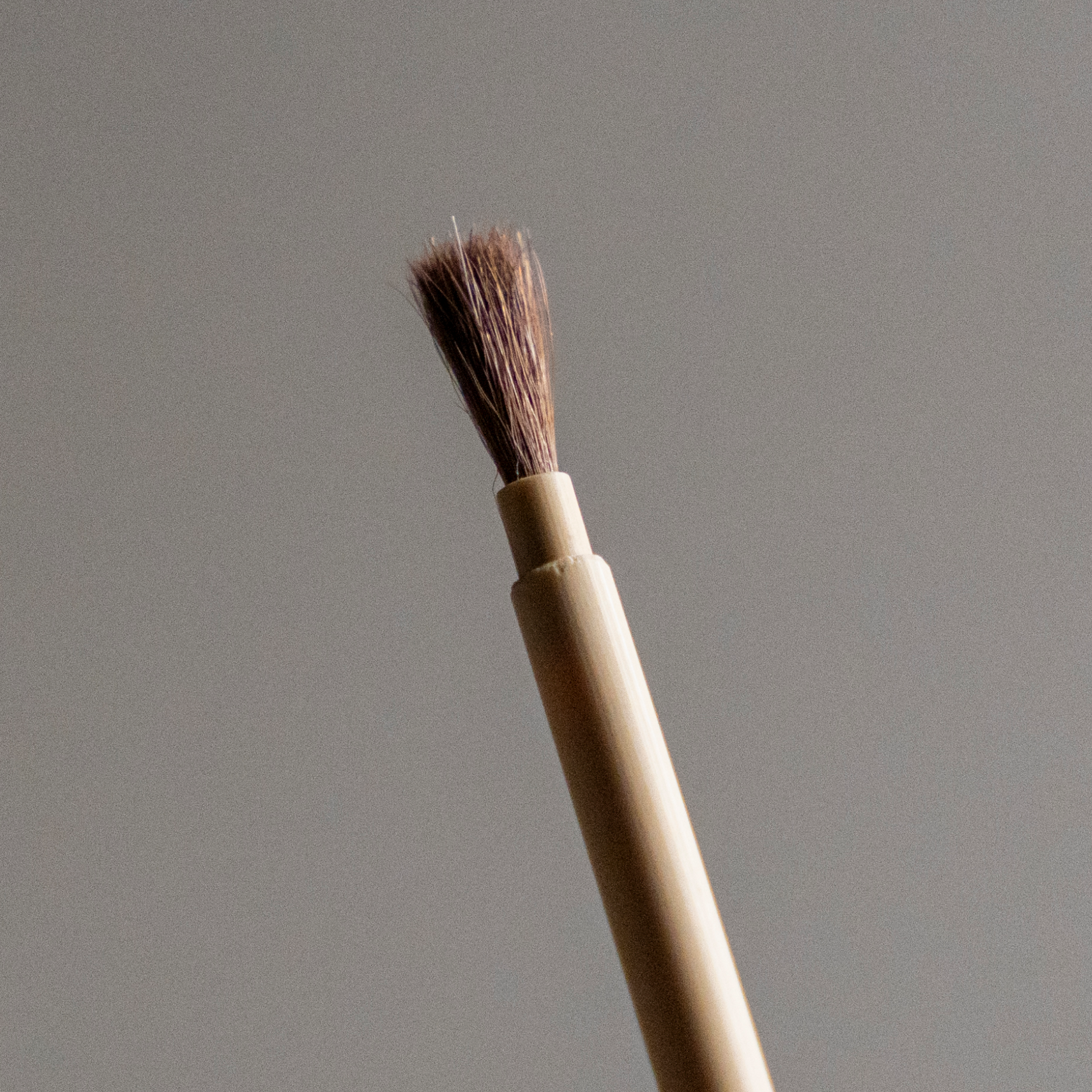 Powder Brush