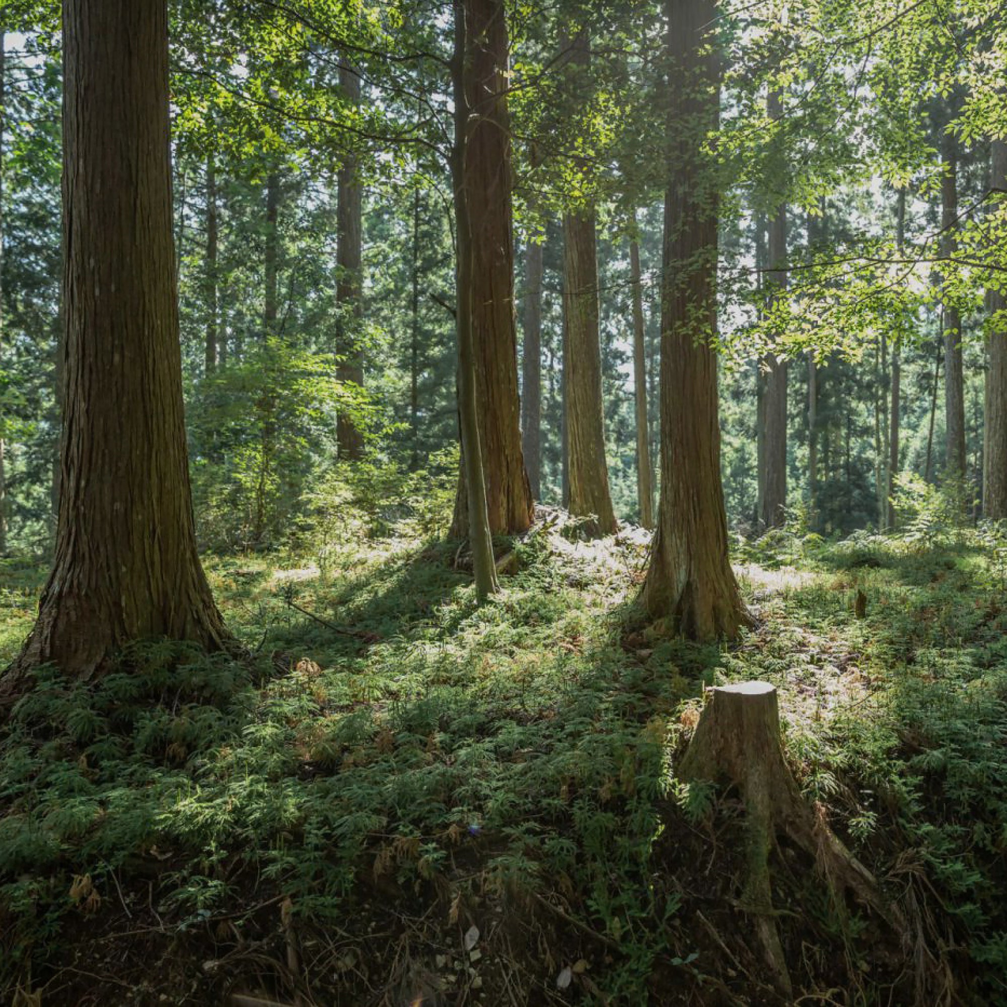 Paper Cord Stool Kit - Mini