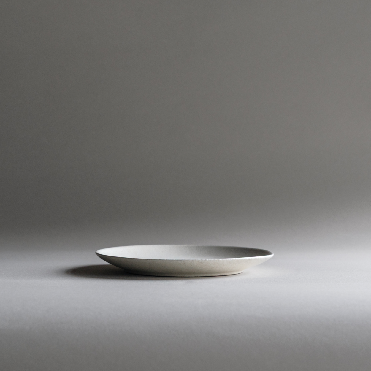 Shigaraki Plates - White
