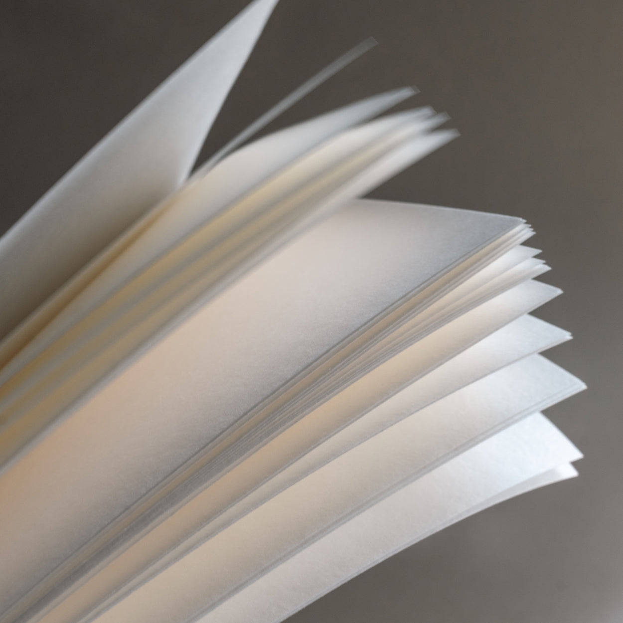 Washi paper for Colored Sumi