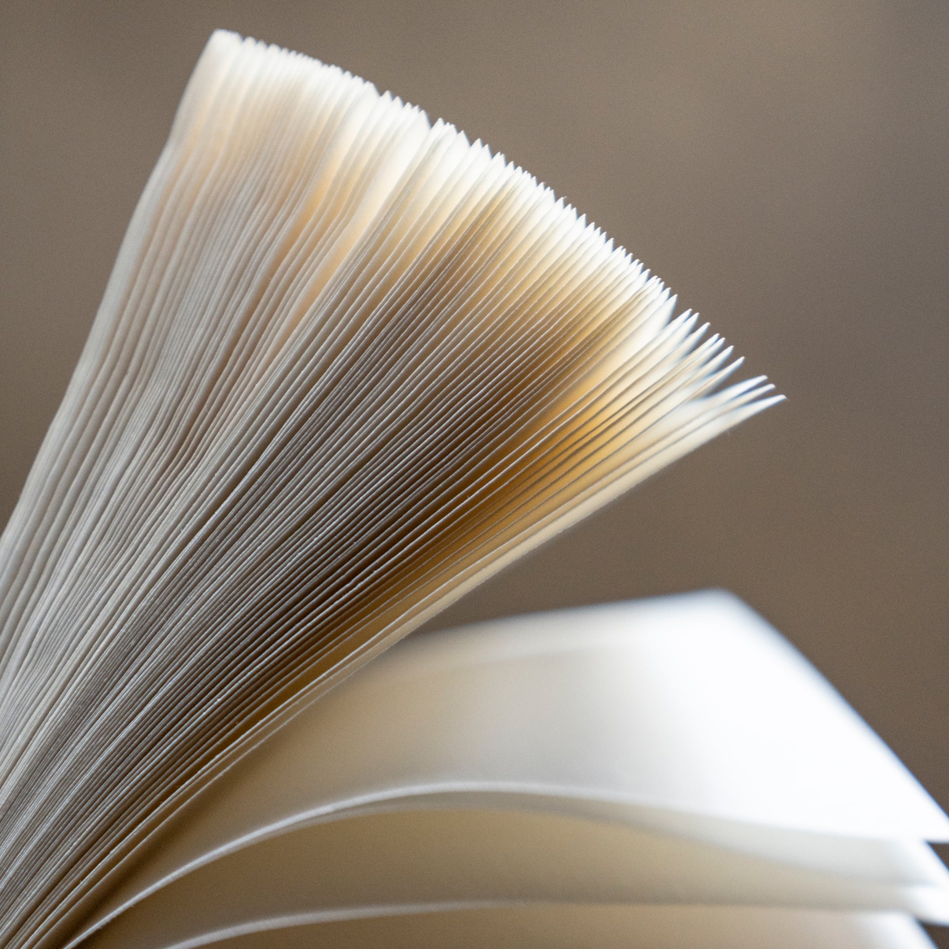 Hanshi Paper for Scented Sumi